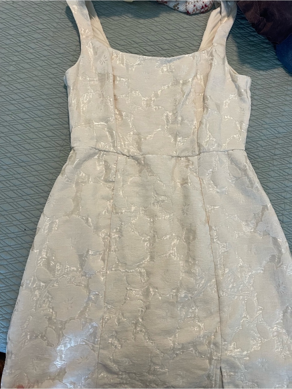 Francesca's Collections Cream Floral Jacquard Mini Dress